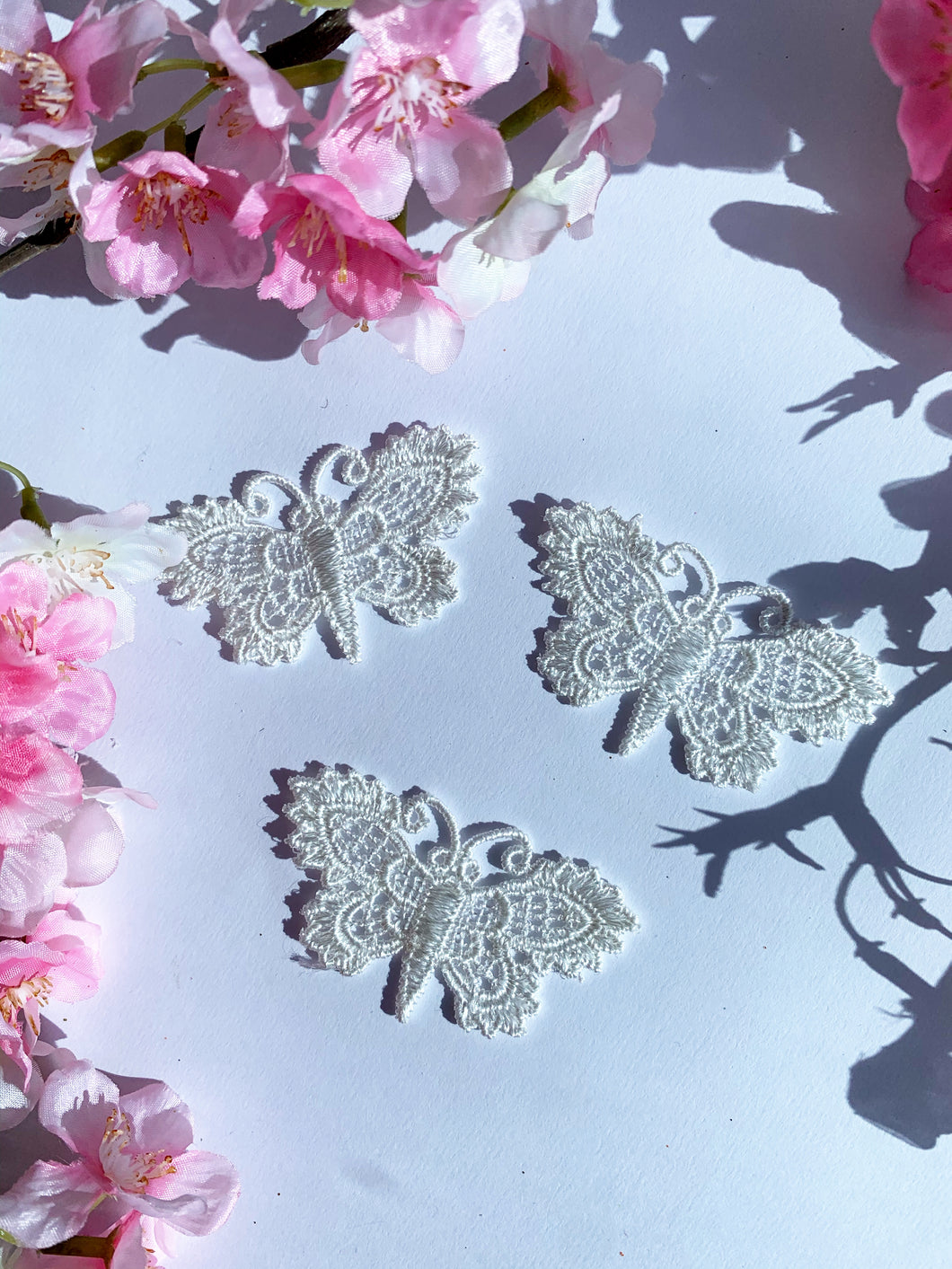 White lace butterfly 6 pack