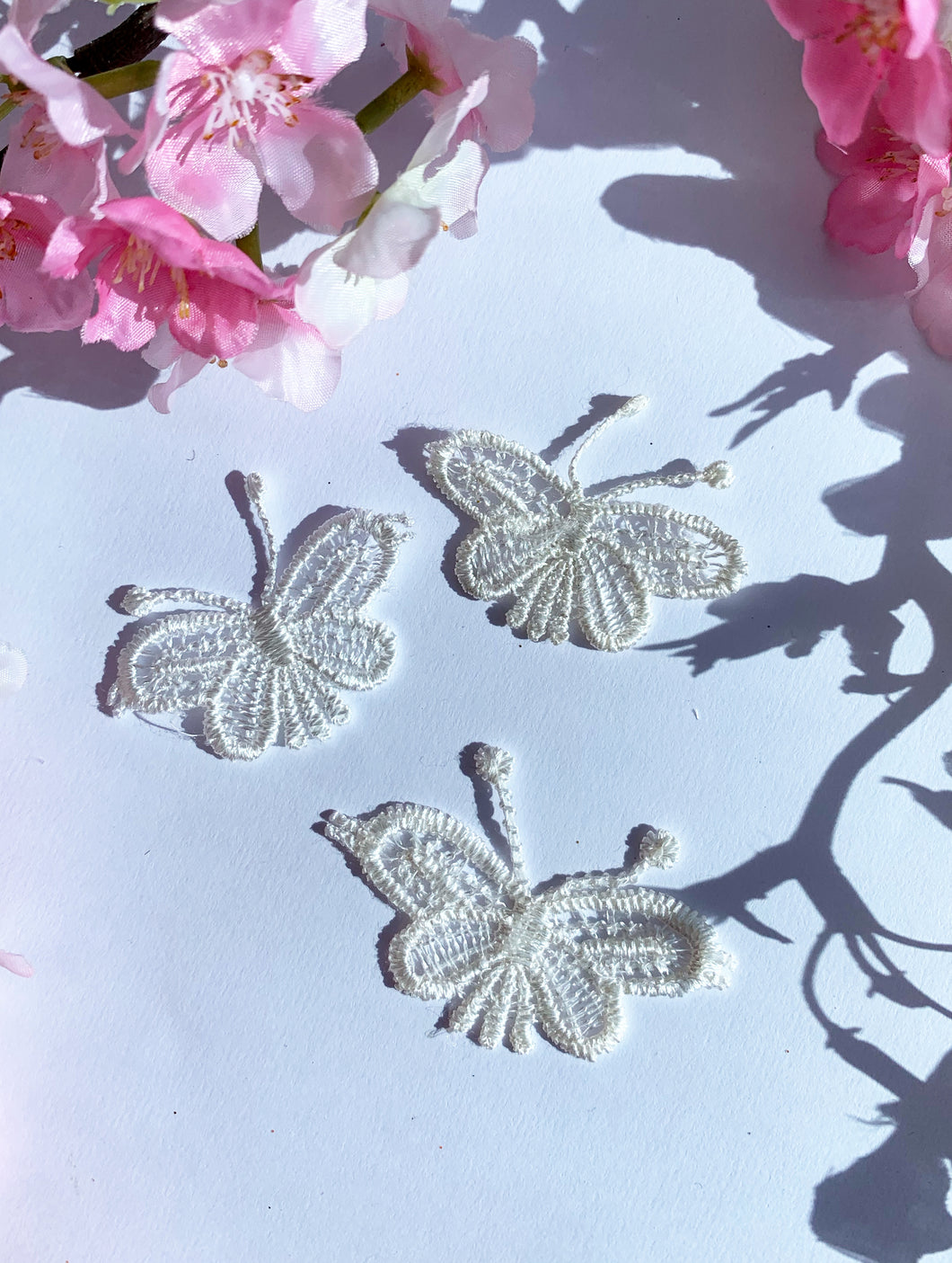 White lace wide butterfly 6 pack