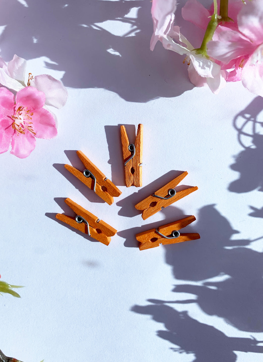 Orange wooden pegs 12