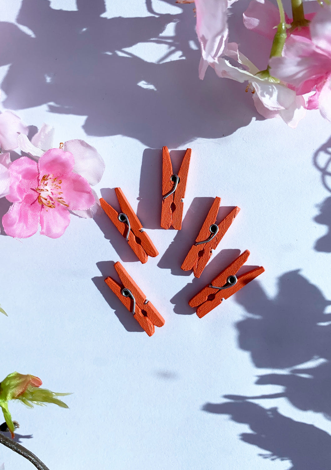 Dark orange wooden pegs 5 pack