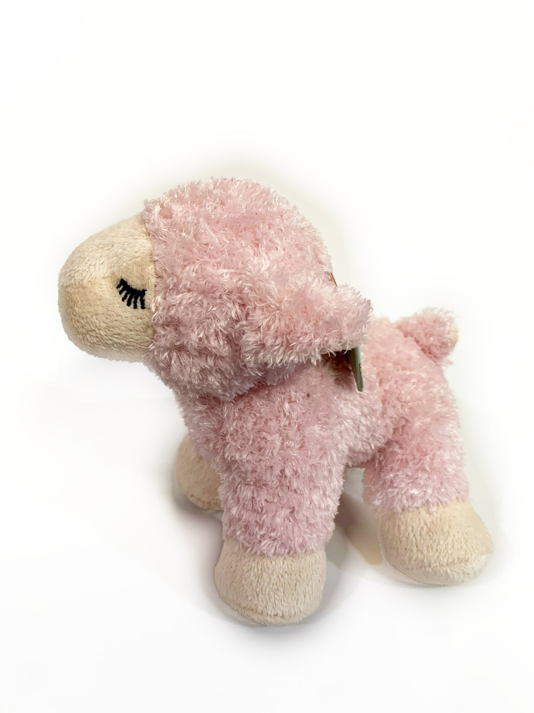 Little pink lamb