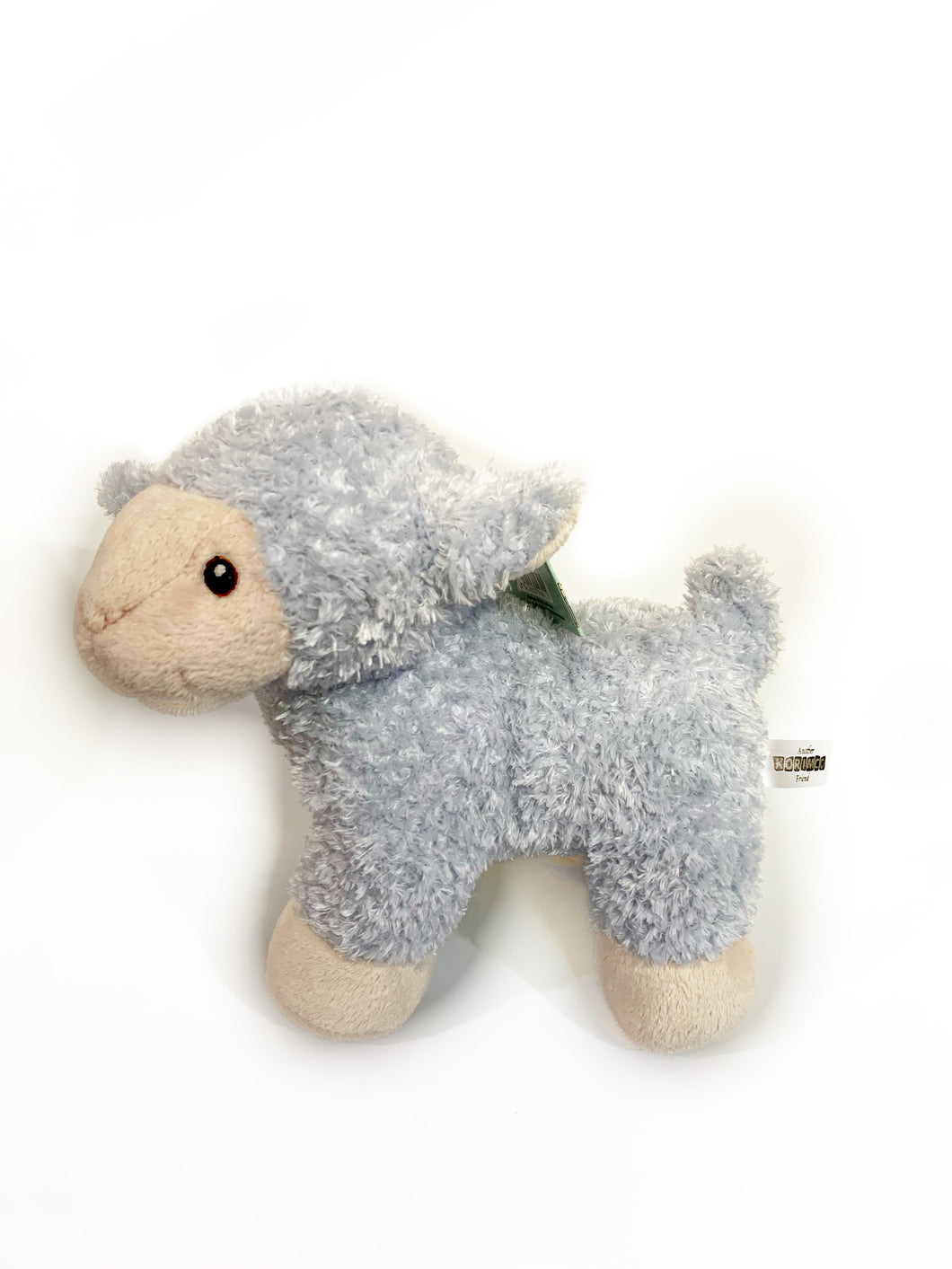 Little blue lamb