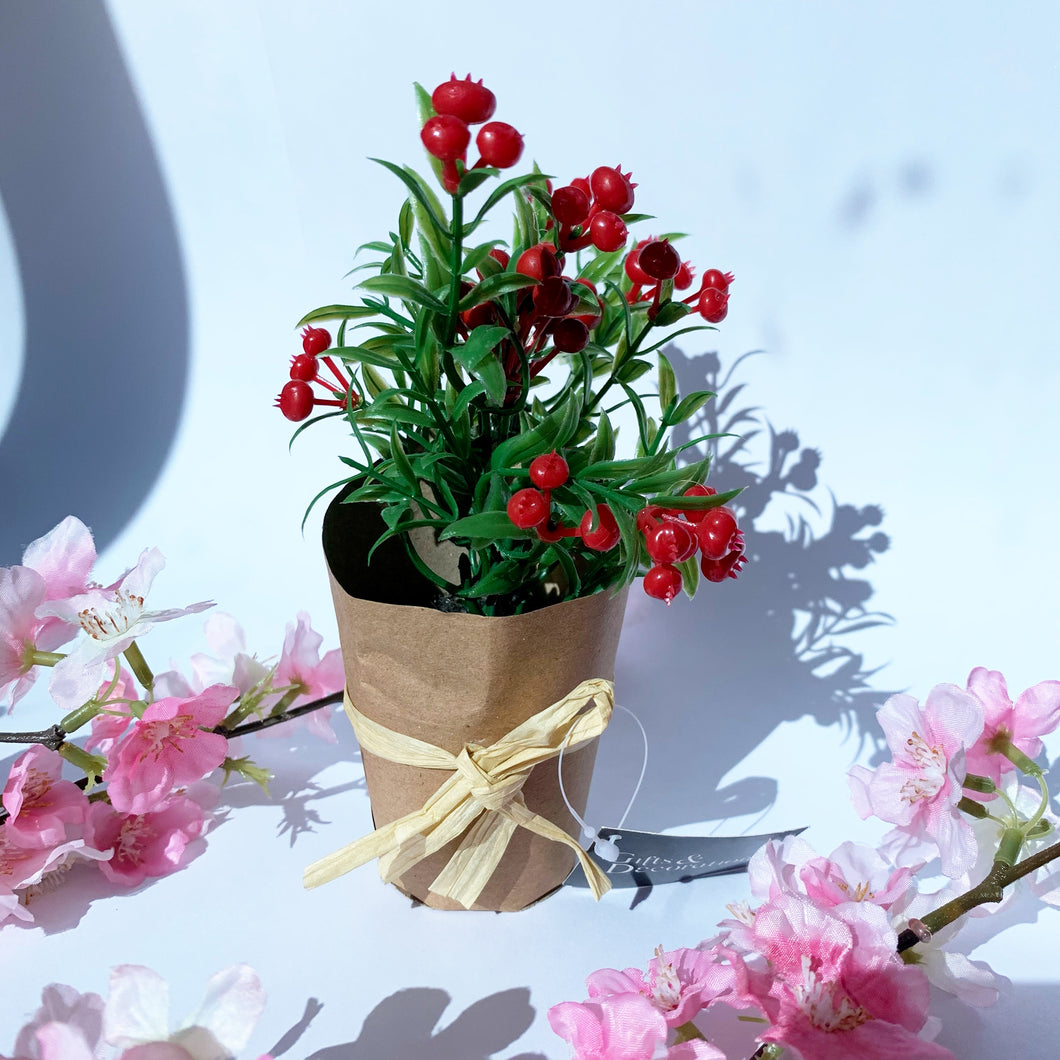 Berry plant in paper wrap potted red