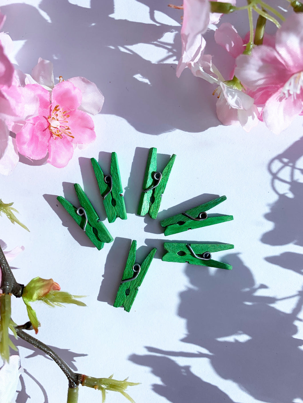 Green wooden pegs 21 pack